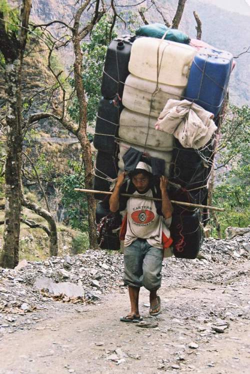 Nepal_antman_despeckled