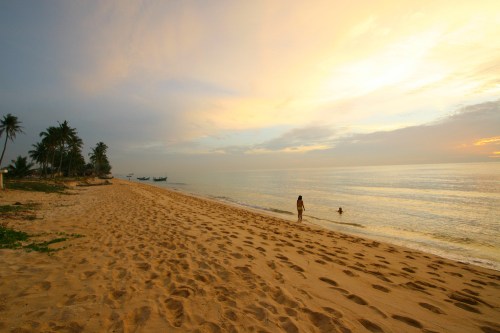 5302523497_946675b24b_b