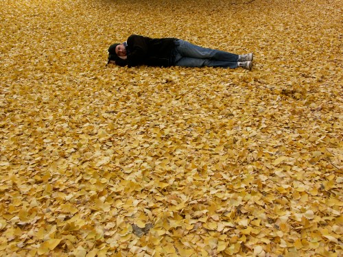 Cj_in_yellow_koyo_sleep_pict00