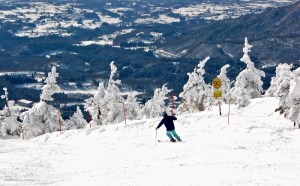 Pict0073_-_version_2