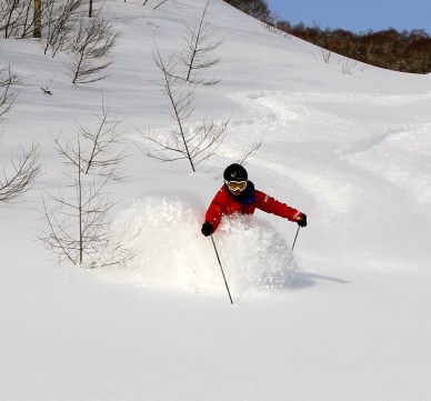 IMG_1701 - Version 3