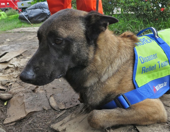 IMG_1895 - Version 2