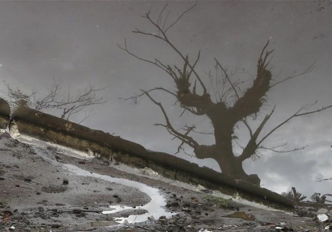 IMG_2121 - Version 4