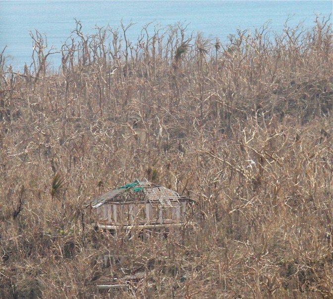 IMG_6339 - Version 3