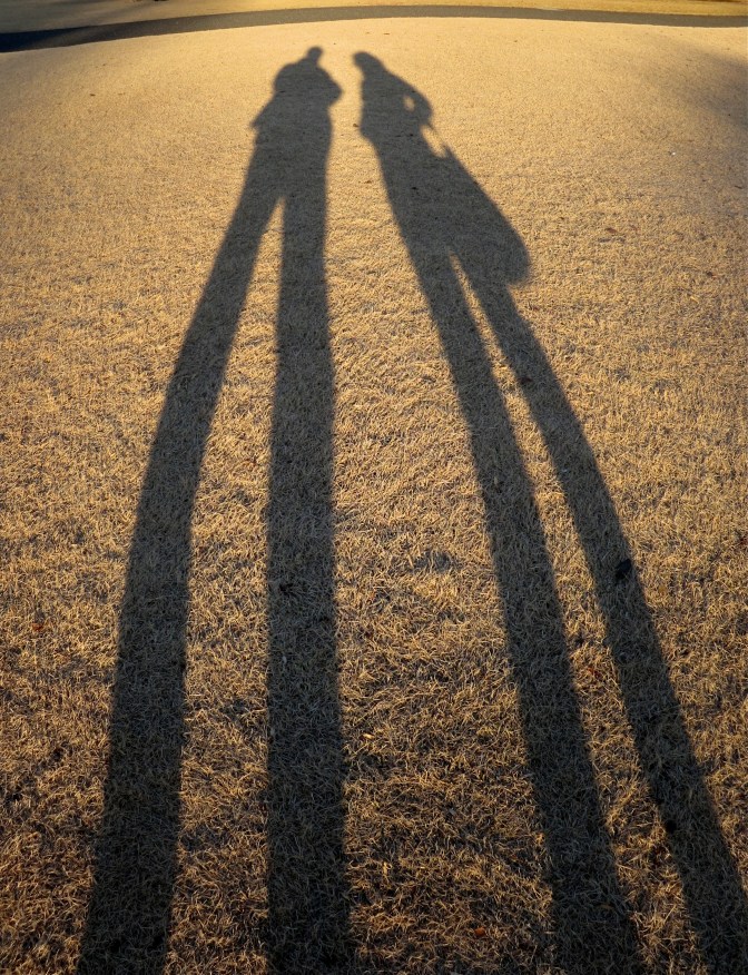 IMG_2714 - Version 2 copy