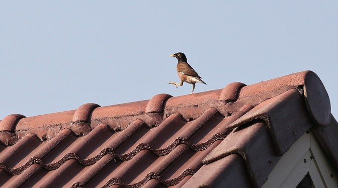 4I3A8190 - Version 3