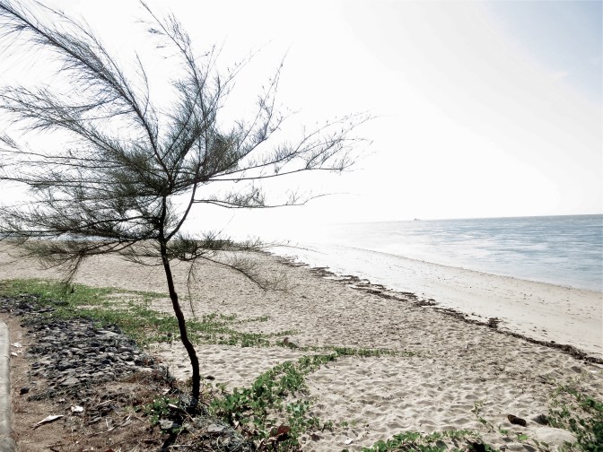 IMG_3861 - Version 2