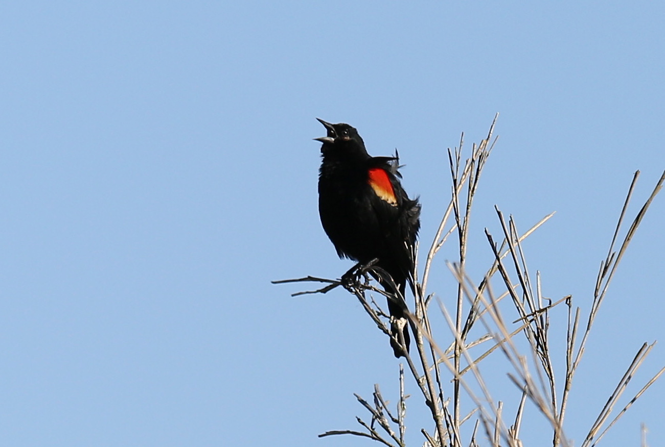 4I3A2828 - Version 2