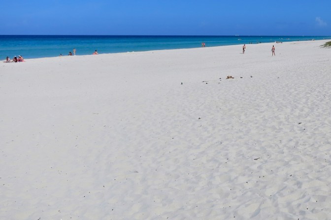 IMG_1584 - Version 2