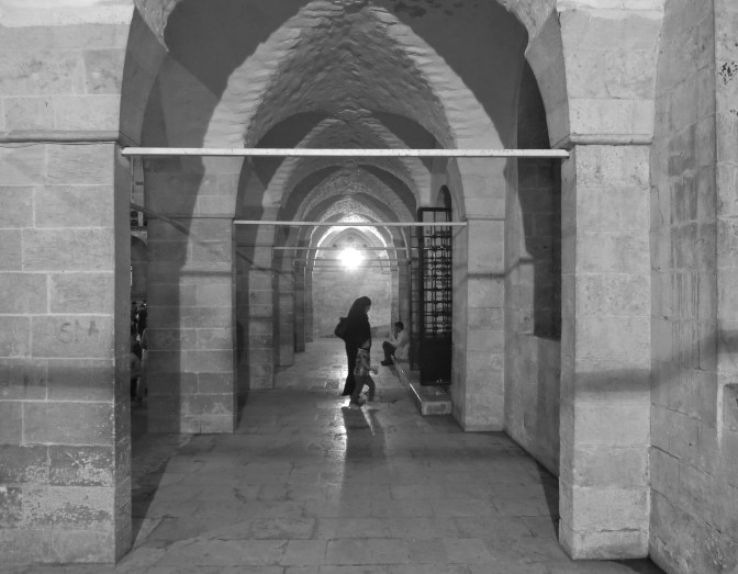 IMG_6805 - Version 3