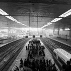 On the Road in China with Patient Zero